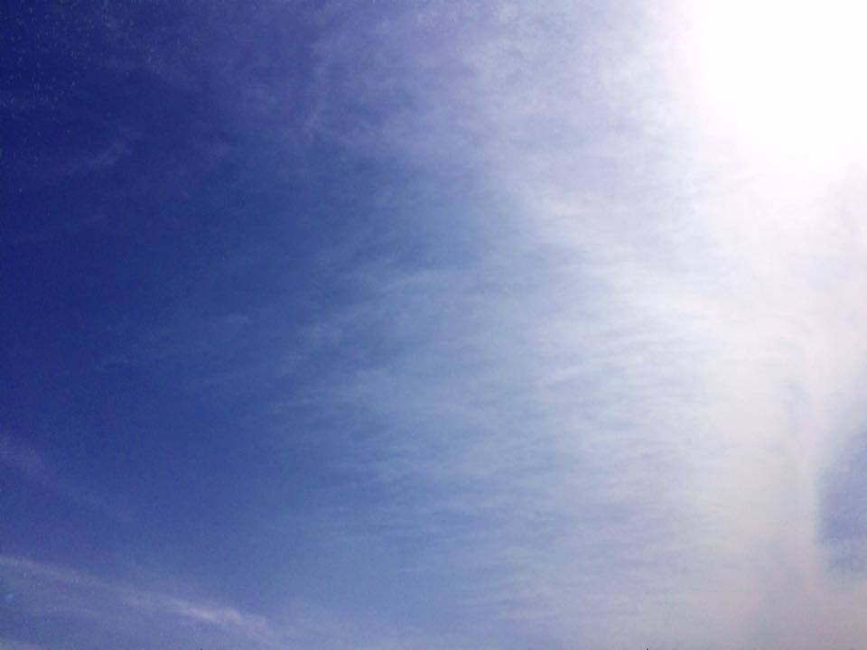 2017.05.18.jpg